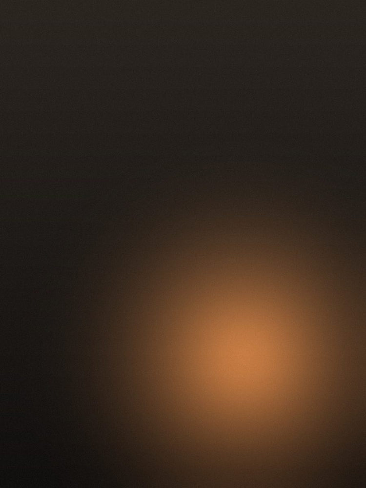 Sfeerbeeld bij de collectie buitenverlichting